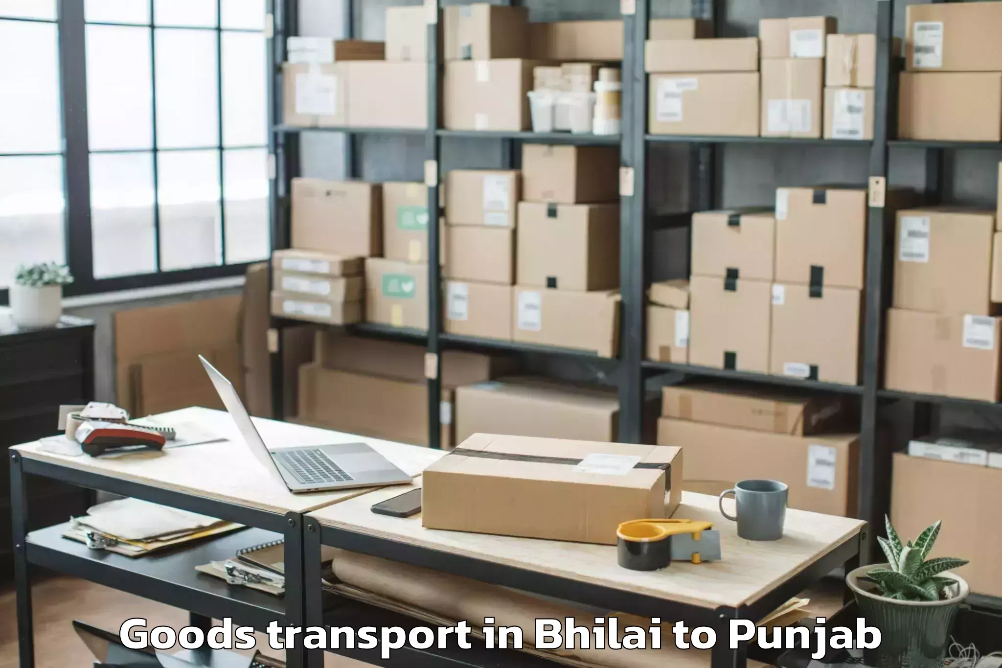 Trusted Bhilai to Phillaur Goods Transport